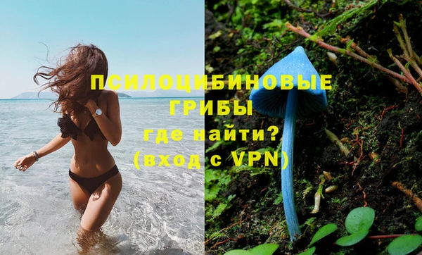 гидропоника Гусев